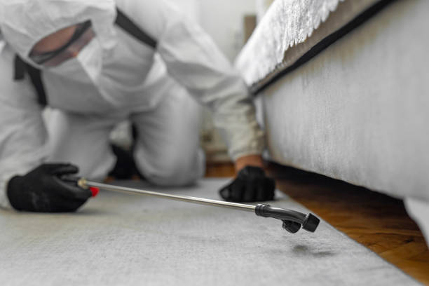 Professional Bed Bug Control technician working in Byram Center, NJ