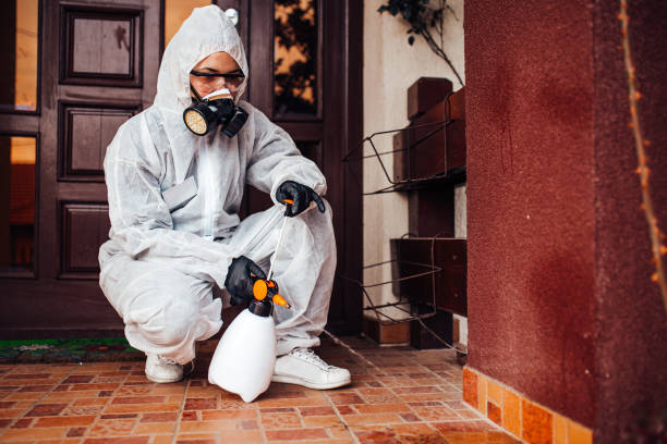 Reliable Bed Bug Control contractor in Byram Center, NJ by Nex Pest Control