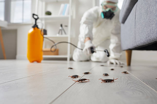 Trusted Rodent Control service in Byram Center, NJ - Nex Pest Control
